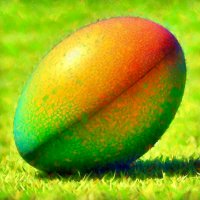 Mango Rugby (@mangorugby) 's Twitter Profile