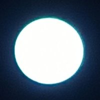 Latopo (@latopo1998) 's Twitter Profile Photo