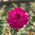 RIPSY ANAND (@ripsyanand) Twitter profile photo RIPSY ANAND (@ripsyanand) Twitter profile photo