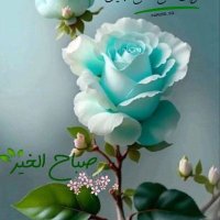 Sss (@skwlwo1) Twitter profile photo