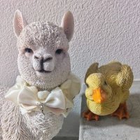 鳩村澪 (@hatomuramio) 's Twitter Profile Photo 鳩村澪 (@hatomuramio) 's Twitter Profile Photo