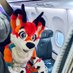 Riley Rubix 🔜 Vibe Camp 2025 (@rileythedeer) Twitter profile photo Riley Rubix 🔜 Vibe Camp 2025 (@rileythedeer) Twitter profile photo