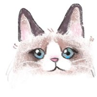 냥친놈 (@catsolunatic) 's Twitter Profile Photo 냥친놈 (@catsolunatic) 's Twitter Profile Photo