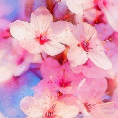 maruko49075745's profile picture. 北海道❄️→名古屋🌸AIHで第1子妊娠ღ元医療職💉2022.12出産👶🏻💞💎🍯