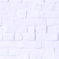 けーた (@kenkenkozima) Twitter profile photo