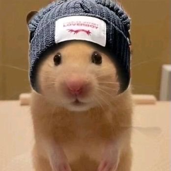 WinsletGalicia3's profile picture. 🍒