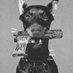 vaurc (@vaurc_) Twitter profile photo vaurc (@vaurc_) Twitter profile photo