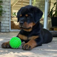 Harley1122 (@harley280668) 's Twitter Profile Photo Harley1122 (@harley280668) 's Twitter Profile Photo