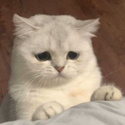 ^ me if you even care | no tws, unfollow if you’re uncomfortable