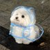 癒しの動物 (@animalkyat) Twitter profile photo 癒しの動物 (@animalkyat) Twitter profile photo