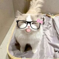Ⓜ️ (@piipapar) 's Twitter Profile