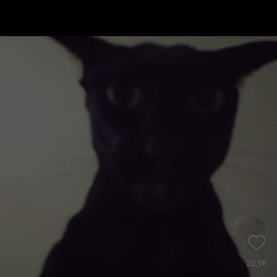Junior_crypto3's profile picture. 