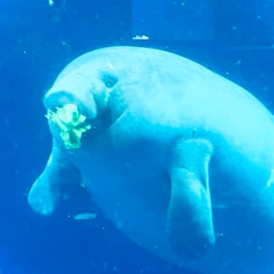 よ りさんのプロフィール画像