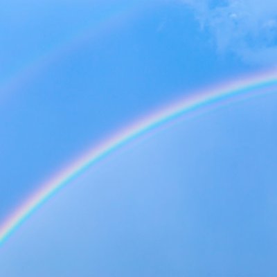 mama_nyan_ume's profile picture. 