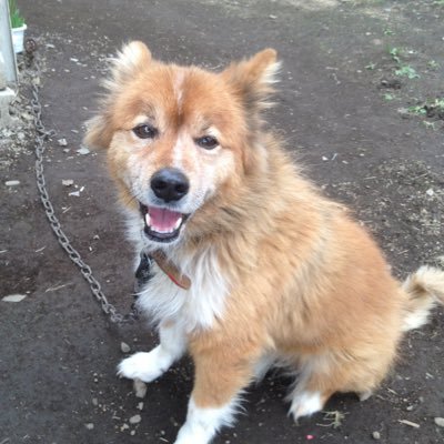 JbpmdJHi9e20708's profile picture. 