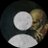 Sh33tz avatar