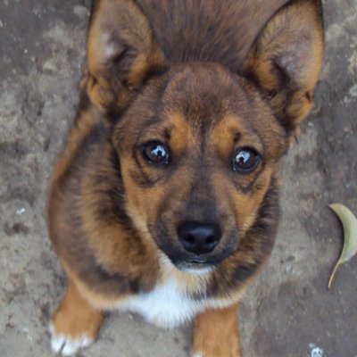 480Rica's profile picture. 