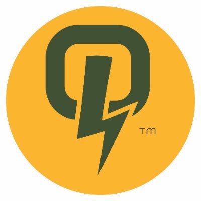 Squid Energy provides sustainable solar solutions for the millions without reliable electricity. We have empowered communities across Nigeria.