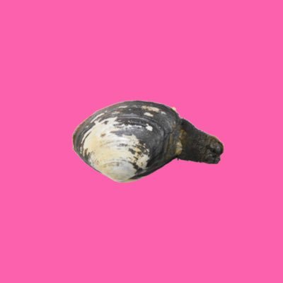 ___1017__o0's profile picture. 将生、今日も世界一綺麗だよ