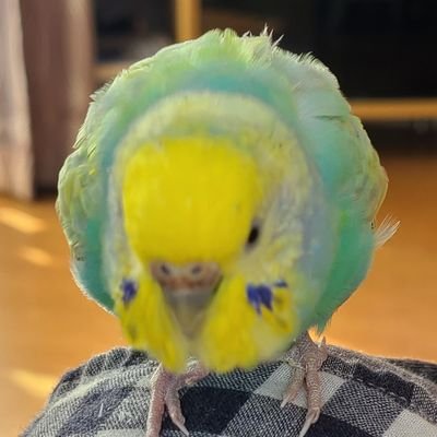 wFd4xZ87Sxs07Dv's profile picture. 