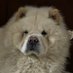 AIRDROPAKHBAR (@airdropakhbar) Twitter profile photo AIRDROPAKHBAR (@airdropakhbar) Twitter profile photo