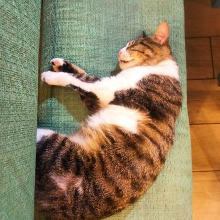 zeynepgul123_'s profile picture. Hayat zor