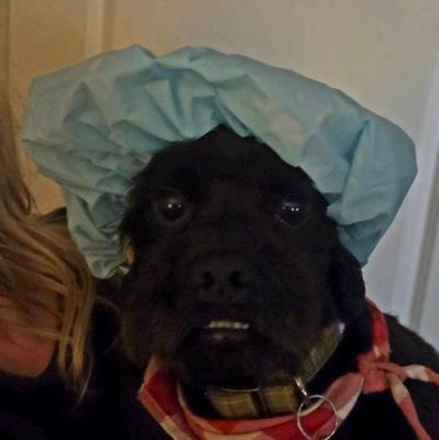 deanf2009's profile picture. nffc