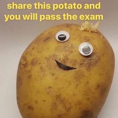 RureadyPopo's profile picture. 