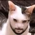 Kenneth (@kenjos75) Twitter profile photo Kenneth (@kenjos75) Twitter profile photo