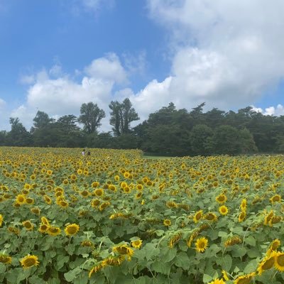 多額の借金を返済した人と繋がりたい 現在、借金800万 年収600万 30歳 既婚 誰にもバレずに借金返済したい がんばれ自分