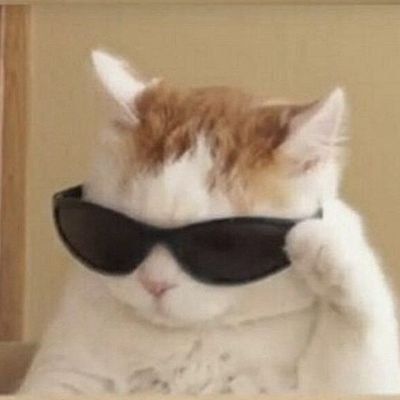 luvmybfmochs1's profile picture. 