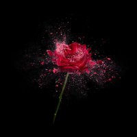 ...망상... (@mangsang_2j) 's Twitter Profile