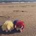 🗝️シャン (@shnhnkey) Twitter profile photo 🗝️シャン (@shnhnkey) Twitter profile photo