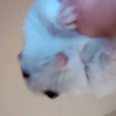 ۟さんのプロフィール画像