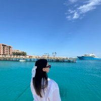 Phoenix (@asl_tosunoglu) 's Twitter Profile