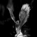 vale (@valesc4ls) Twitter profile photo vale (@valesc4ls) Twitter profile photo