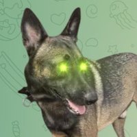 TheApeAnt (@theapeantcrypto) 's Twitter Profile Photo TheApeAnt (@theapeantcrypto) 's Twitter Profile Photo