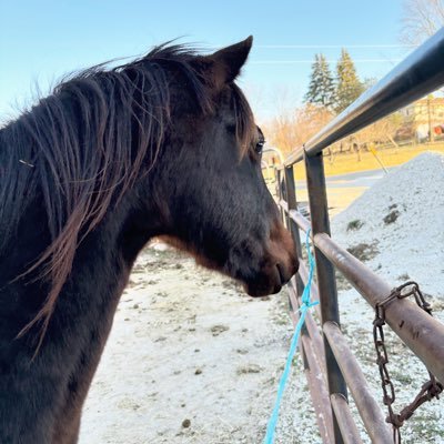 Suzy1207's profile picture. Dont ever question why things happen, god has you covered