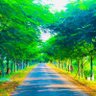 GadgeDeepak9's profile picture. 8555048139