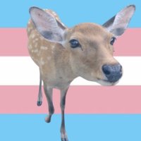 Kayla (@kaylavlr) 's Twitter Profile