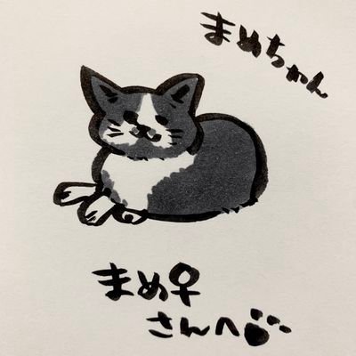 まめ♡ハチワレ猫♡第7腰椎と仙骨が潰れたように骨折したため下半身麻痺に。
でも元気いっぱいの女の子6歳です♡
