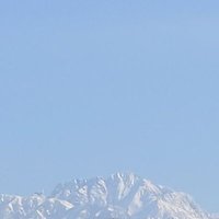いろいろ(何でも) (@qf90_iroiro_rep) 's Twitter Profile