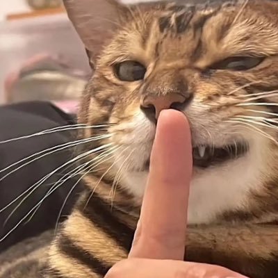 Gatakoさんのプロフィール画像