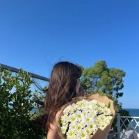 Fatima Abdullayeva (@fabdullaye19) 's Twitter Profile