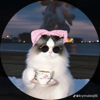 🪐✨ (@miaaalalala) 's Twitter Profile Photo 🪐✨ (@miaaalalala) 's Twitter Profile Photo