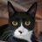 so_picky's profile image