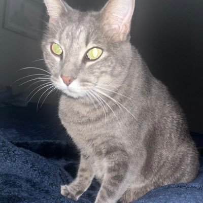 bethhurt78's profile picture. 