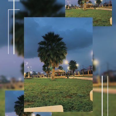 A105102A's profile picture. 