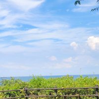 だい (@daidai_mazo) Twitter profile photo