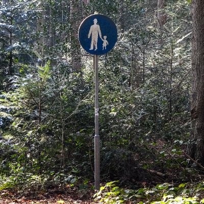 #Fotografie Boswandeling in #Wilsum #Duitsland, denker, #Saab,
https://t.co/g5GUcNOVxG of https://t.co/0L1zDDCSI3